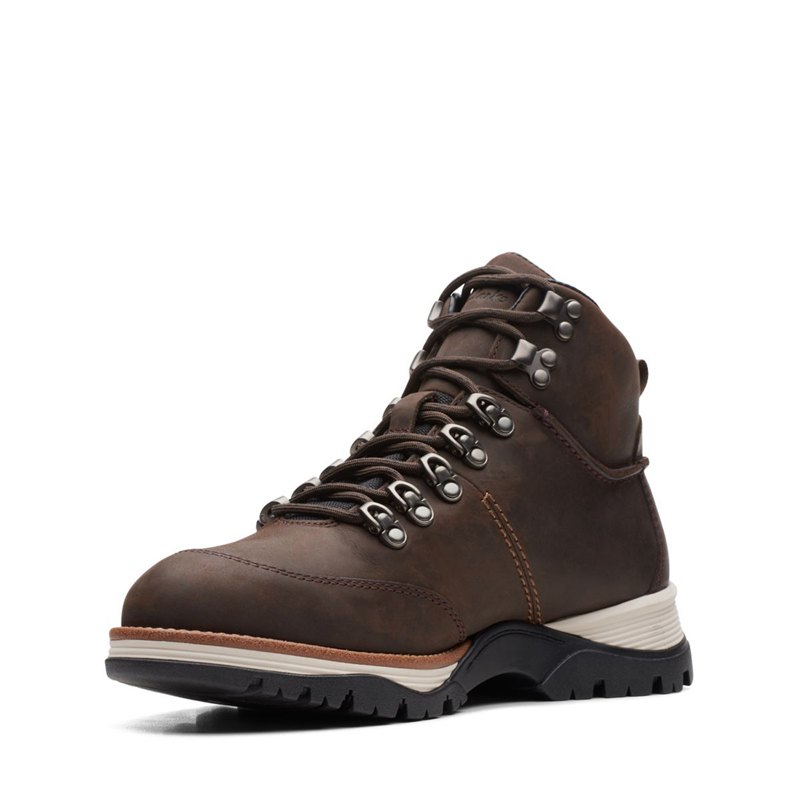 Botines Clarks Topton Pine GORE-TEX Hombre Marrones Oscuro | 39658145