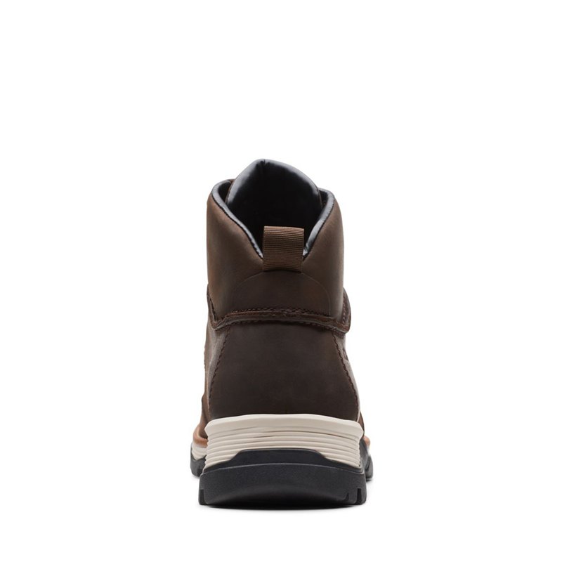 Botines Clarks Topton Pine GORE-TEX Hombre Marrones Oscuro | 39658145