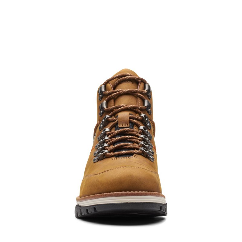 Botines Clarks Topton Pine GORE-TEX Hombre Marrones | 40850192