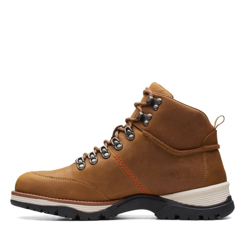 Botines Clarks Topton Pine GORE-TEX Hombre Marrones | 40850192