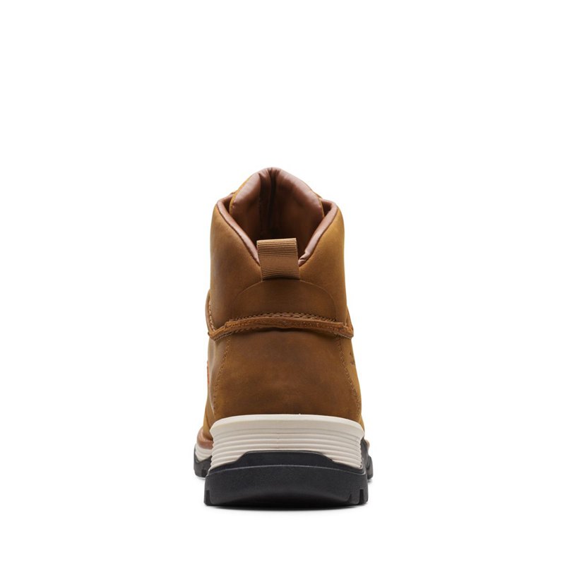 Botines Clarks Topton Pine GORE-TEX Hombre Marrones | 40850192