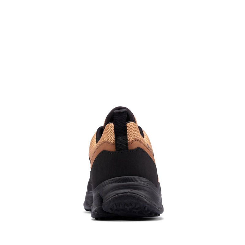 Zapatillas Clarks Tri Path Trek GORE-TEX Hombre Negras | 92994063